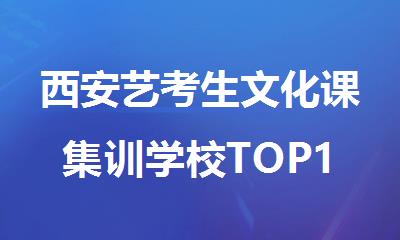 西安艺考生文化课集训学校TOP10推荐龙首原附近