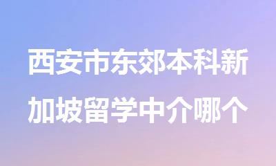 西安市东郊本科新加坡留学中介哪个好排名推荐