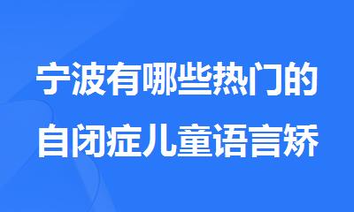 宁波有哪些热门的自闭症儿童语言矫正机构哪个排名好名单出炉