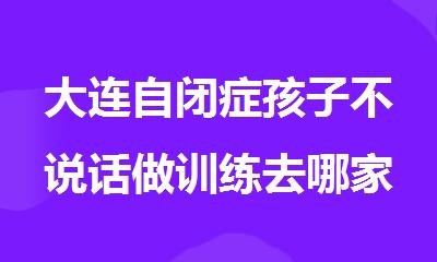 大连自闭症孩子不说话做训练去哪家机构