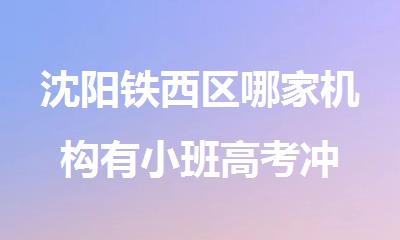 沈阳铁西区哪家机构有小班高考冲 刺辅导