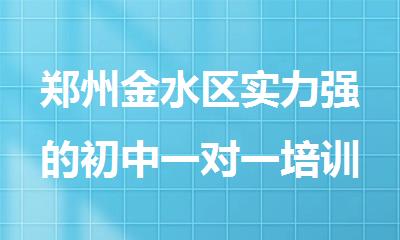 郑州金水区实力强的初中一对一培训机构名单榜首公布一览
