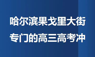 哈尔滨果戈里大街专门的高三高考冲 刺补习教育机构