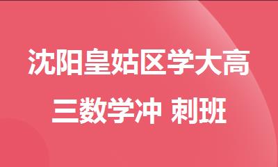 沈阳皇姑区学大高三数学冲 刺班