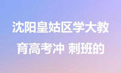沈阳皇姑区学大教育高考冲 刺班的老师好不好