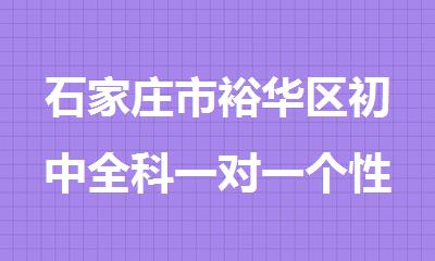 石家庄市裕华区初中全科一对一个性化辅导课程