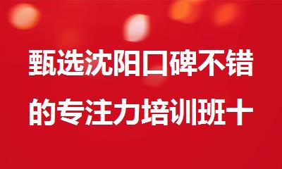 甄选沈阳口碑不错的专注力培训班十大排名