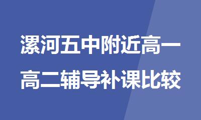 漯河五中附近高一高二辅导补课比较好的机构