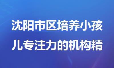 沈阳市区培养小孩儿专注力的机构精选推荐名单公布