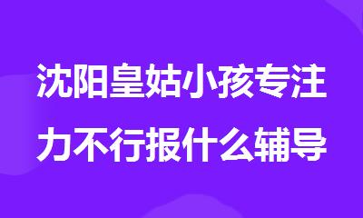 沈阳皇姑小孩专注力不行报什么辅导班可以改善