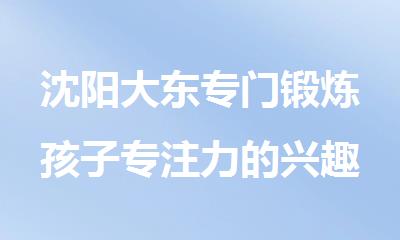 沈阳大东专门锻炼孩子专注力的兴趣班有哪些