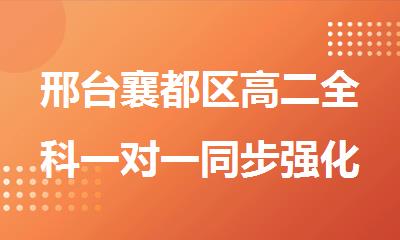 邢台襄都区高二全科一对一同步强化辅导机构