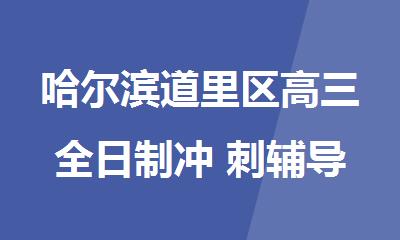 哈尔滨道里区高三全日制冲 刺辅导效果好的机构名单全新梳理