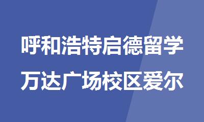 呼和浩特启德留学万达广场校区爱尔兰留学申请班欢迎您