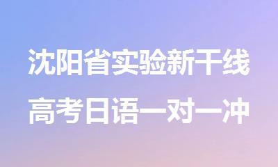 沈阳省实验新干线高考日语一对一冲刺辅导