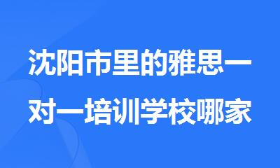 沈阳市里的雅思一对一培训学校哪家受欢迎