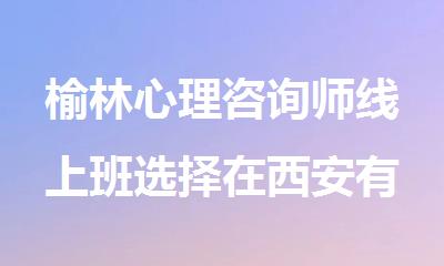 榆林心理咨询师线上班选择在西安有面授的海尔森教育