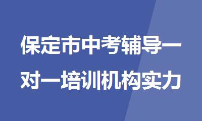 保定市中考辅导一对一培训机构实力排行榜