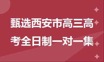 甄选西安市高三高考全日制一对一集训机构