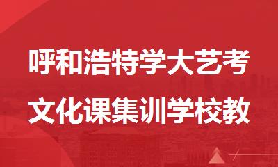 呼和浩特学大艺考文化课集训学校教学优质吗
