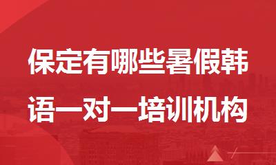 保定有哪些暑假韩语一对一培训机构比较好