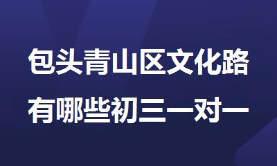 包头青山区文化路有哪些初三一对一补课中心