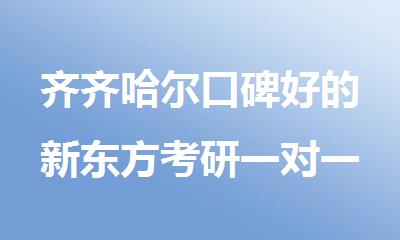 齐齐哈尔口碑好的新东方考研一对一畅学班
