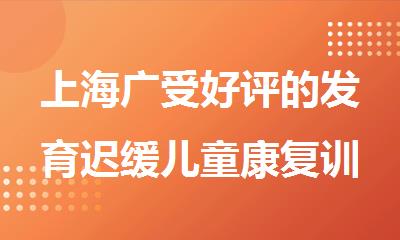 上海广受好评的发育迟缓儿童康复训练机构名单榜首一览
