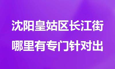 沈阳皇姑区长江街哪里有专门针对出国留学的日语培训班