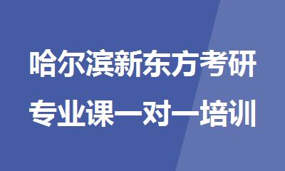 哈尔滨新东方考研专业课一对一培训班性价比高吗