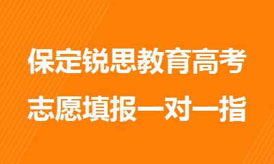 保定锐思教育高考志愿填报一对一指导中心