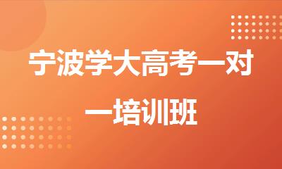 宁波学大高考一对一培训班