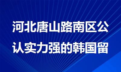 河北唐山路南区公认实力强的韩国留学申请机构