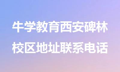 牛学教育西安碑林校区地址联系电话多少