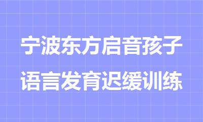 宁波东方启音孩子语言发育迟缓训练机构