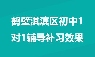 鹤壁淇滨区初中1对1辅导补习效果好的班推荐