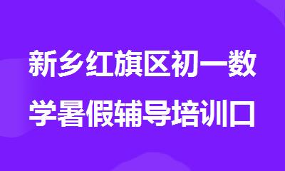 新乡红旗区初一数学暑假辅导培训口碑好的机构