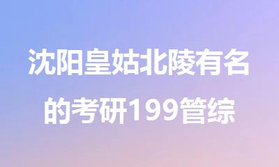 沈阳皇姑北陵有名的考研199管综半年集训辅导机构