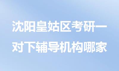 沈阳皇姑区考研一对下辅导机构哪家排名比较好