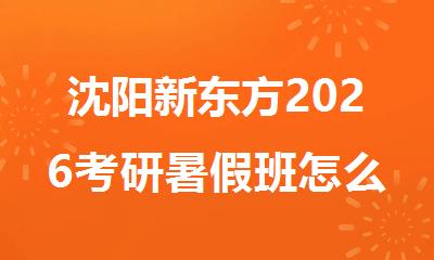 沈阳新东方2026考研暑假班怎么收费的