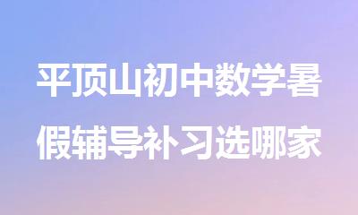 平顶山初中数学暑假辅导补习选哪家效果比较好