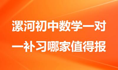 漯河初中数学一对一补习哪家值得报名