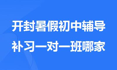 开封暑假初中辅导补习一对一班哪家好