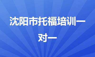 沈阳市托福培训一对一