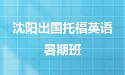 沈阳出国托福英语暑期班