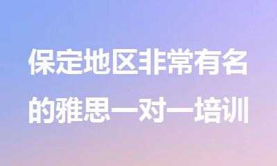 保定地区非常有名的雅思一对一培训机构