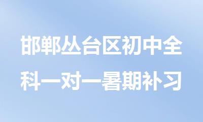 邯郸丛台区初中全科一对一暑期补习班