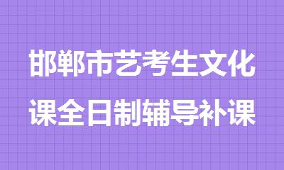 邯郸市艺考生文化课全日制辅导补课机构