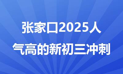 张家口2025人气高的新初三冲刺辅导?机构