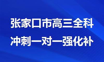 张家口市高三全科冲刺一对一强化补习培训班